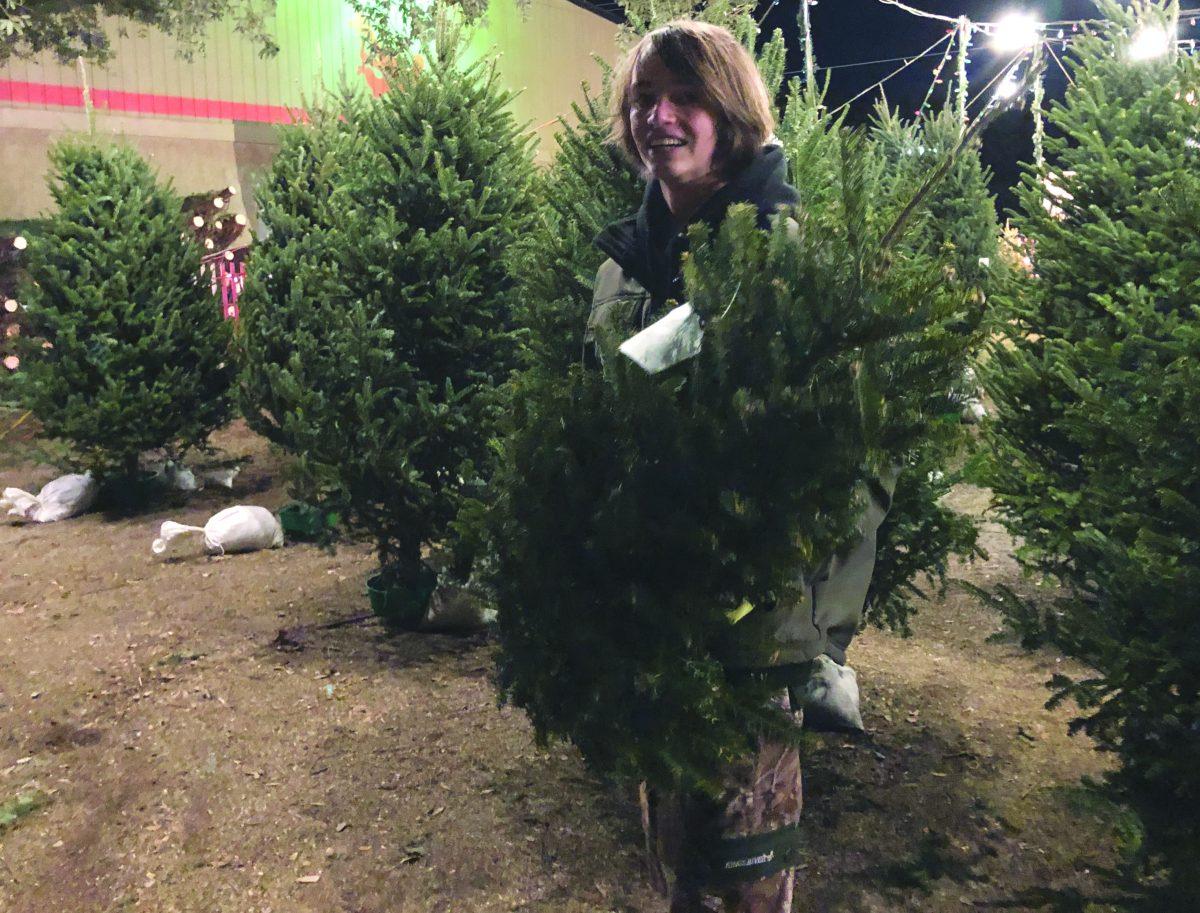 Christmas Tree Lot