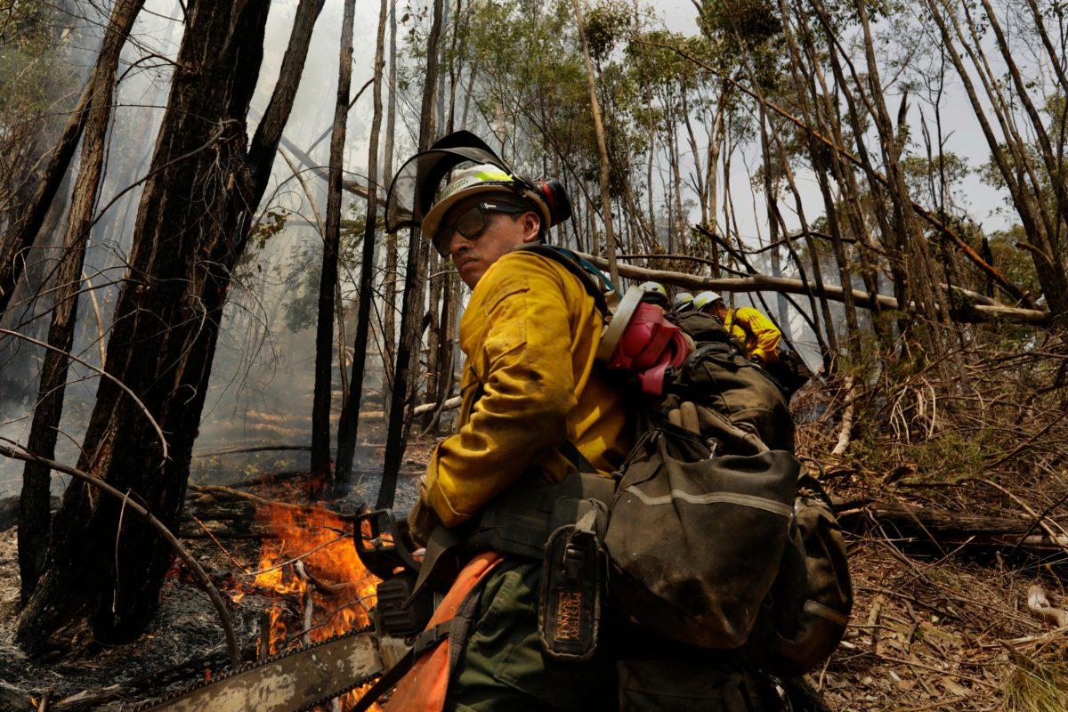 ALPINE NATIONAL PARK JAN. 18, 2020 Hector Cerna, 39, from Palmdale, CA works to put out hot spots in the Alpine National Park where he and an American crew have been working for the past two weeks. Hector Cerna has 14 years of firefighting experience and is highly qualified, as are all of the American firefighters in Australia. A contingent of American hotspot firefighters have been in Australia for about 10 days working with the Australian firefighters to combat fires. (Carolyn Cole/Los Angeles Times/TNS)