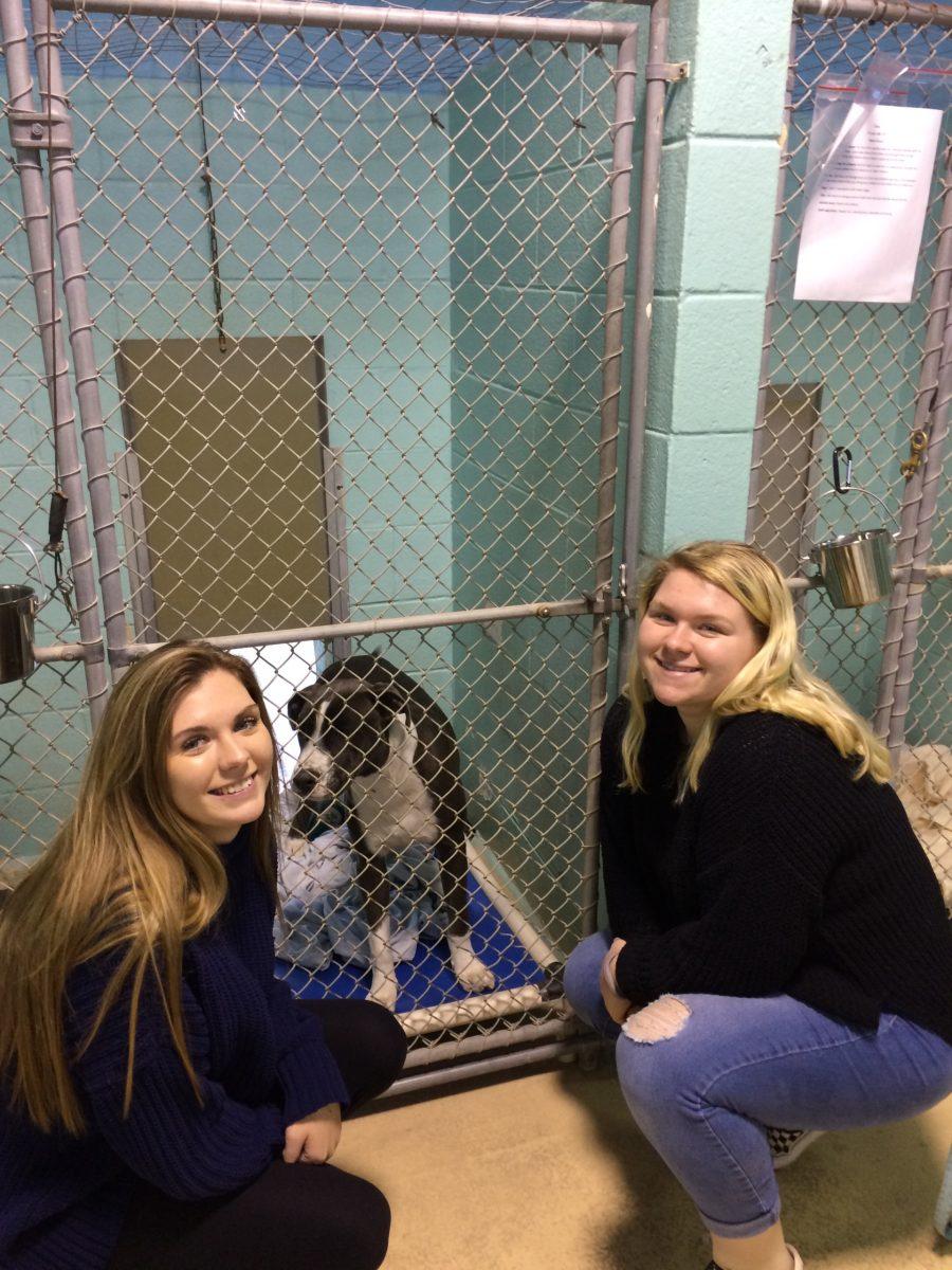 Seniors Olivia Bowlin and Juliann Gotthelf pose with one of the SPCA's many dogs. The two girls help out at the SPCA by washing, cleaning and playing with animals. PHOTO BY KATHY NEAL/Special to Nighthawk News